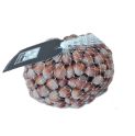 Avellana MALLA en cascara BIO 500 gr-CAN GALDERIC