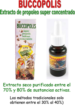 Buccopolis